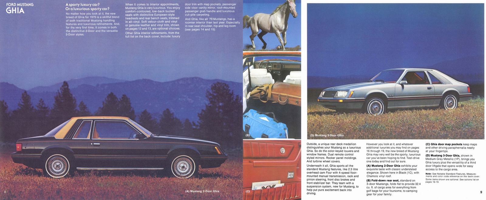 n_1979 Ford Mustang-08-09.jpg